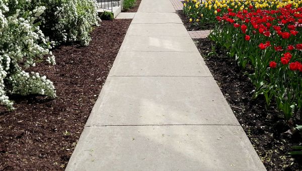 Cost of Sidewalk Slab Replacement in Birmingham